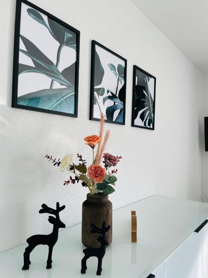 Zollernalb-Apartment Mg Albstadt Esterno foto